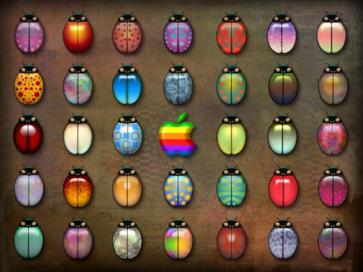 383688 (a): :1024x768